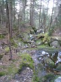 Mt Cardigan NH 2010 0330